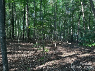 Lake Lot For Sale in Denver, North Carolina