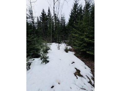 Prime Building Lot in Rangeley Plantation, ready for your - photo 11
