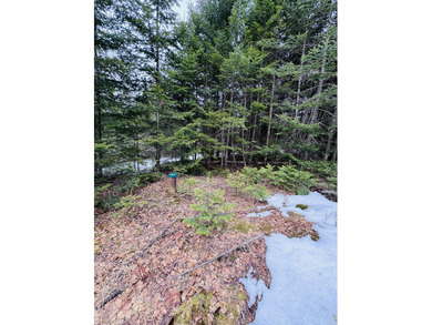 Prime Building Lot in Rangeley Plantation, ready for your - photo 12