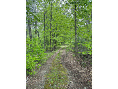 A rare chance to own a substantial slice of Vermont's - photo 13