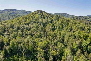 A rare chance to own a substantial slice of Vermont's - photo 27