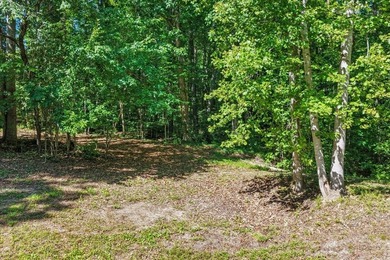 Completely renovated and move-in ready, this beautiful 3-bedroom - photo 37