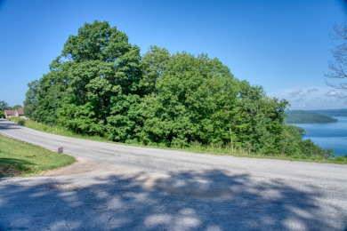 1.5 Acres With a GREAT Beaver Lake View! - photo 6