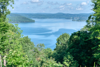 1.5 Acres With a GREAT Beaver Lake View! - photo 2