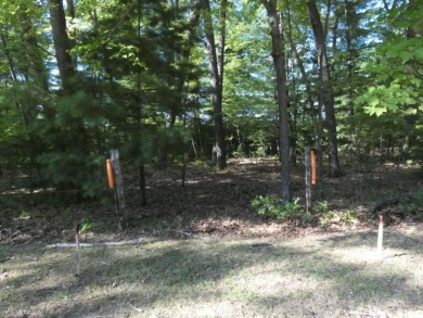 Loon Lake - Shawano County Acreage For Sale in Shawano Wisconsin