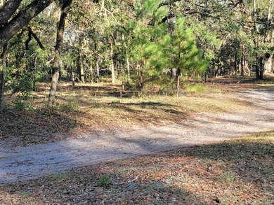 8.47 Acres are just waiting for you to make your own special - photo 3