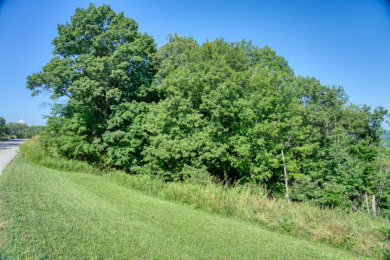 1.5 Acres With a GREAT Beaver Lake View! - photo 4