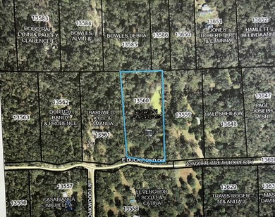 Sneads Smokehouse Lake  Acreage For Sale in Greenville Florida