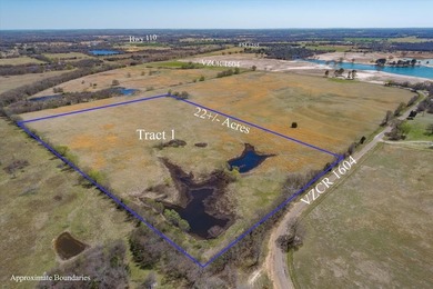 (private lake, pond, creek) Acreage For Sale in Grand Saline Texas
