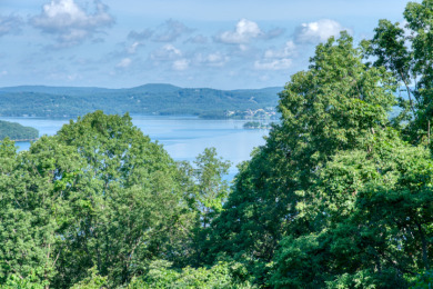 1.5 Acres With a GREAT Beaver Lake View! - photo 9