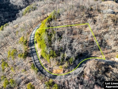 Lake Lot For Sale in Mooresburg, Tennessee