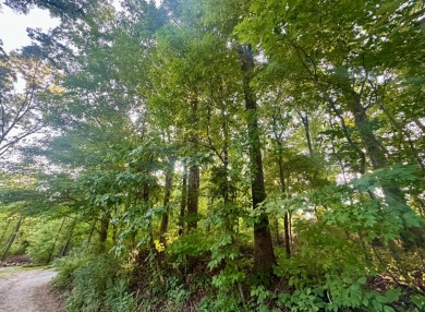 Lake Lot For Sale in Spring City, Tennessee