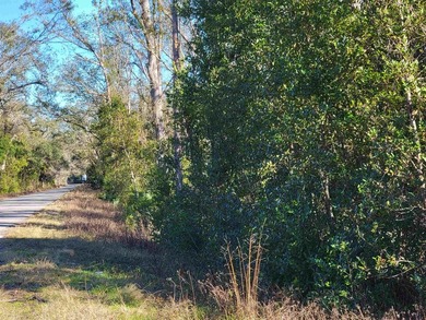 2.24 acres just waiting for your to build your own home. Mobile - photo 3