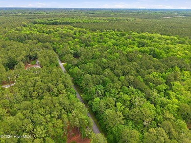 Lot 123 offers 0.87 acres in the desirable waterfront community - photo 12