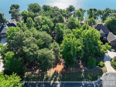 Rare opportunity to own one of the last available lakefront lots - photo 3