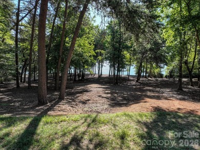 Rare opportunity to own one of the last available lakefront lots - photo 5