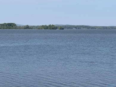 Yes, you can afford to live on the lake! Great views, a - photo 18