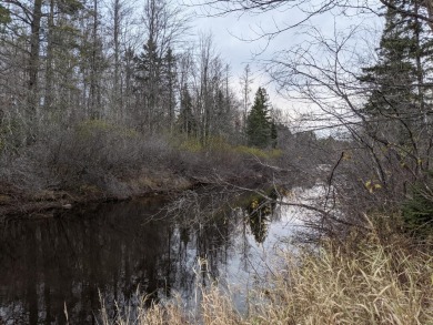 Montreal River - Iron County Acreage For Sale in Oma Wisconsin