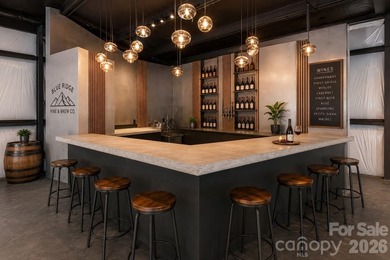 Exceptional commercial opportunity with an assembly permit - photo 2