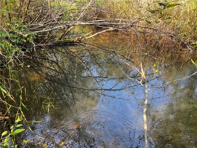 (private lake, pond, creek) Acreage Active Under Contract in New Auburn Wisconsin