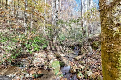 Welcome to Unplugged Creekstone Cabin. Rare opportunity to own - photo 41