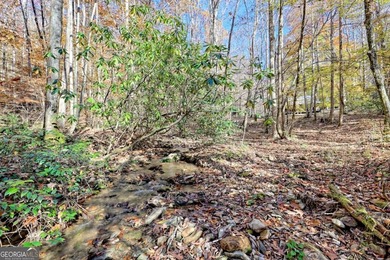 Welcome to Unplugged Creekstone Cabin. Rare opportunity to own - photo 42