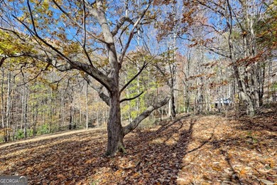 Welcome to Unplugged Creekstone Cabin. Rare opportunity to own - photo 43