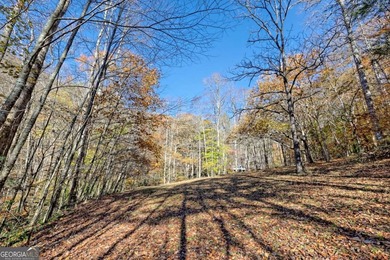 Welcome to Unplugged Creekstone Cabin. Rare opportunity to own - photo 44