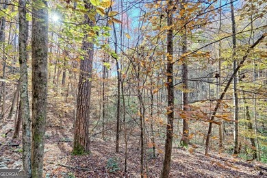 Welcome to Unplugged Creekstone Cabin. Rare opportunity to own - photo 45