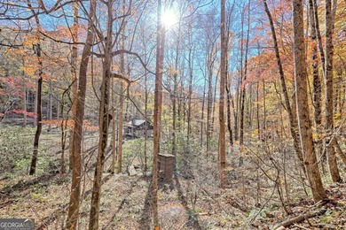 Welcome to Unplugged Creekstone Cabin. Rare opportunity to own - photo 46