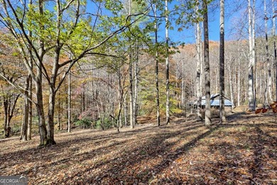 Welcome to Unplugged Creekstone Cabin. Rare opportunity to own - photo 48