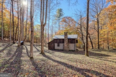 Welcome to Unplugged Creekstone Cabin. Rare opportunity to own - photo 52