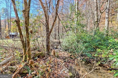 Welcome to Unplugged Creekstone Cabin. Rare opportunity to own - photo 53