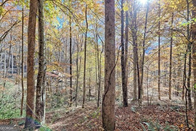 Welcome to Unplugged Creekstone Cabin. Rare opportunity to own - photo 57