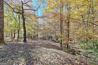 Welcome to Unplugged Creekstone Cabin. Rare opportunity to own - photo 58