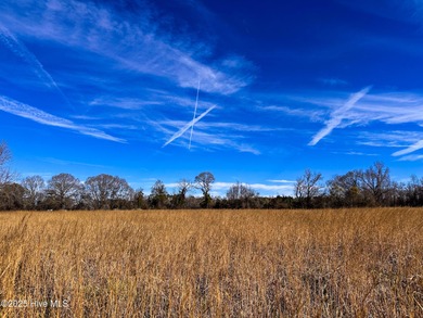 (private lake, pond, creek) Acreage For Sale in Lumberton North Carolina