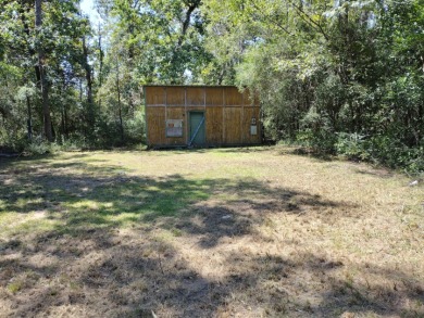 Private Lake Community, Golf Cart Friendly,
RV Lot, 60' x 135' - Lake Lot For Sale in Woodville, Texas