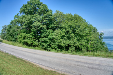1.5 Acres With a GREAT Beaver Lake View! - photo 3