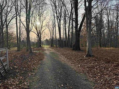 Located just 30 minutes from Charlottesville, this 118-acre - photo 15