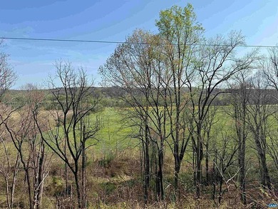 Located just 30 minutes from Charlottesville, this 118-acre - photo 16