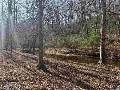 Located just 30 minutes from Charlottesville, this 118-acre - photo 18