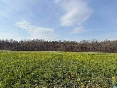 Located just 30 minutes from Charlottesville, this 118-acre - photo 21