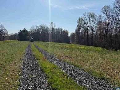 Located just 30 minutes from Charlottesville, this 118-acre - photo 23