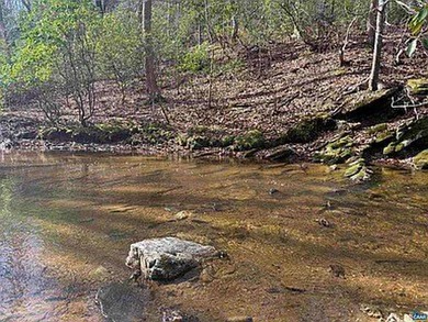 Located just 30 minutes from Charlottesville, this 118-acre - photo 24