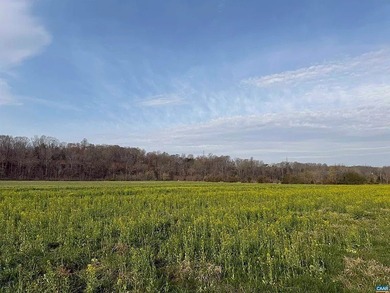 Located just 30 minutes from Charlottesville, this 118-acre - photo 25