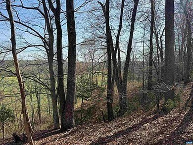 Located just 30 minutes from Charlottesville, this 118-acre - photo 27