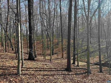 Located just 30 minutes from Charlottesville, this 118-acre - photo 30
