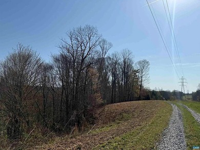 Located just 30 minutes from Charlottesville, this 118-acre - photo 31
