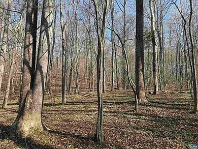 Located just 30 minutes from Charlottesville, this 118-acre - photo 32