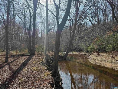 Located just 30 minutes from Charlottesville, this 118-acre - photo 36